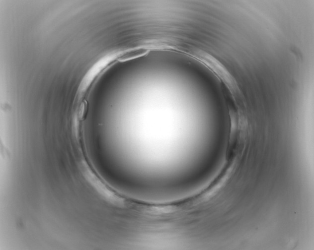 X0000091201196200708091301