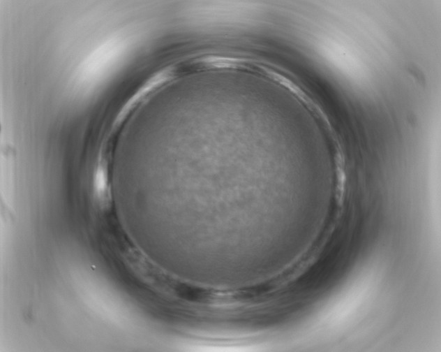 X0000091201198200708091301