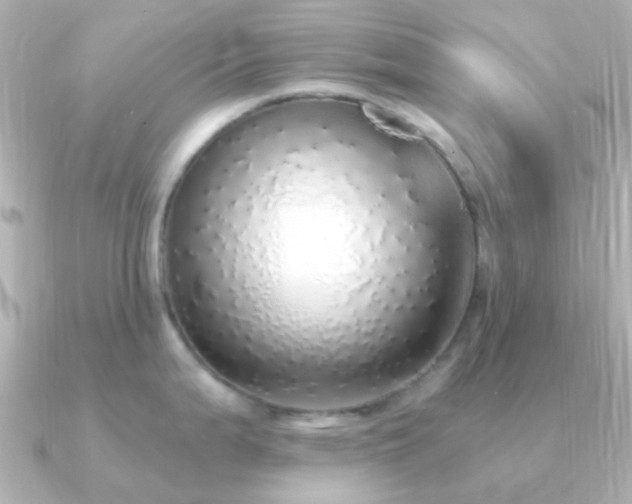 X0000091201199200708091301