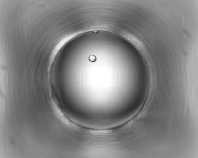 X0000091201200200708091301