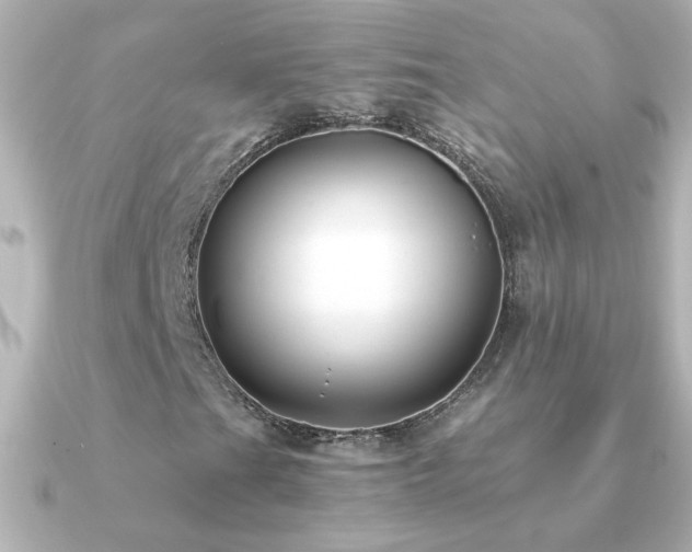 X0000091201201200708091301