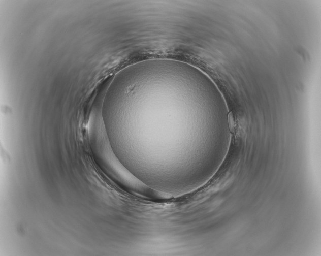 X0000091201202200708091301