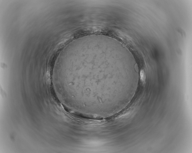X0000091201203200708091301