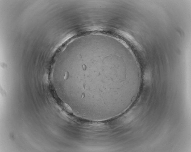 X0000091201209200708091301
