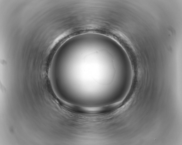 X0000091201210200708091301