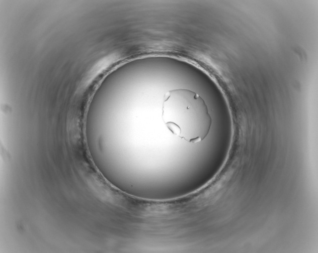 X0000091201211200708091301