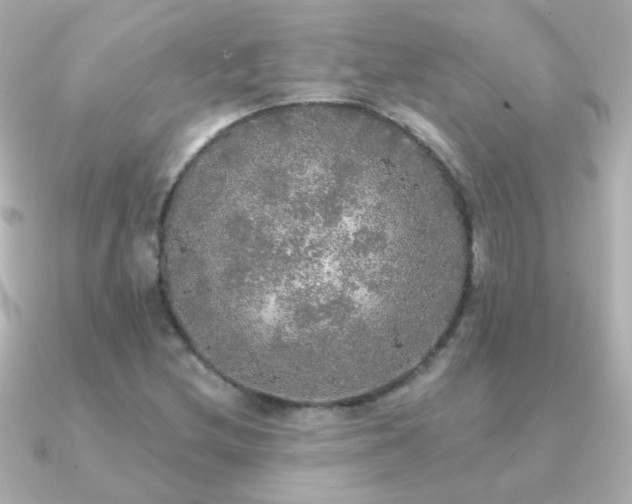 X0000091201212200708091301