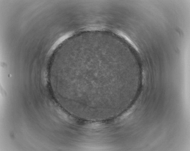 X0000091201213200708091301
