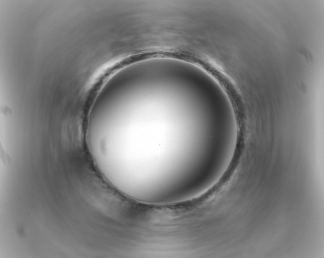 X0000091201214200708091301