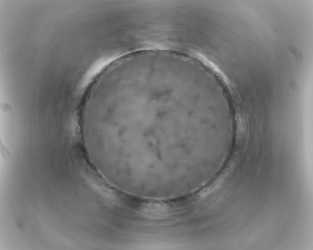 X0000091201215200708091301