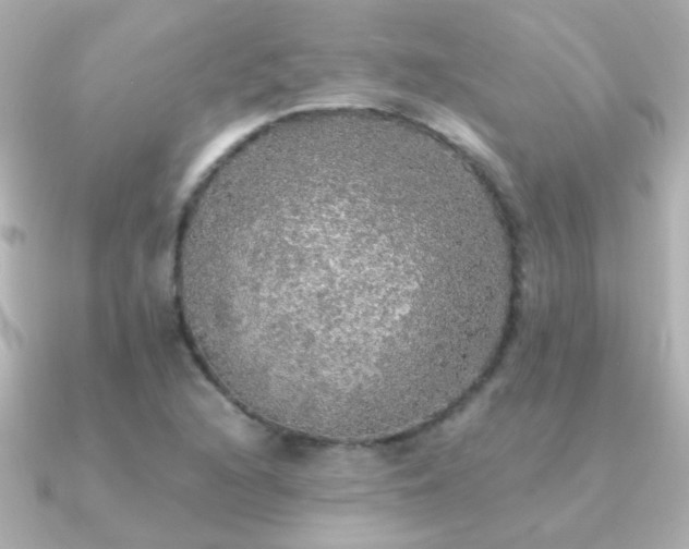 X0000091201216200708091301