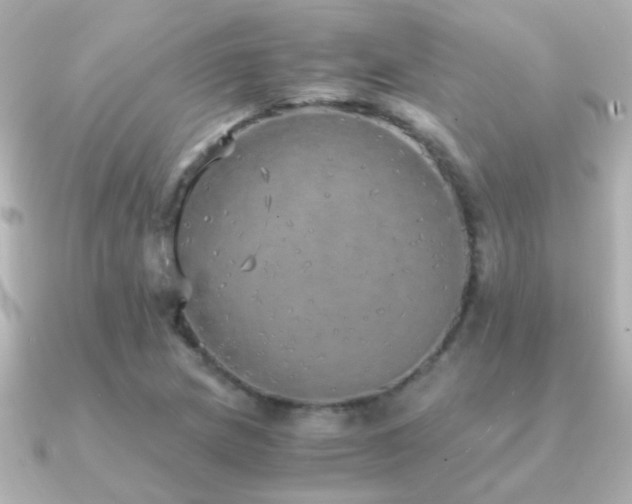 X0000091201217200708091301