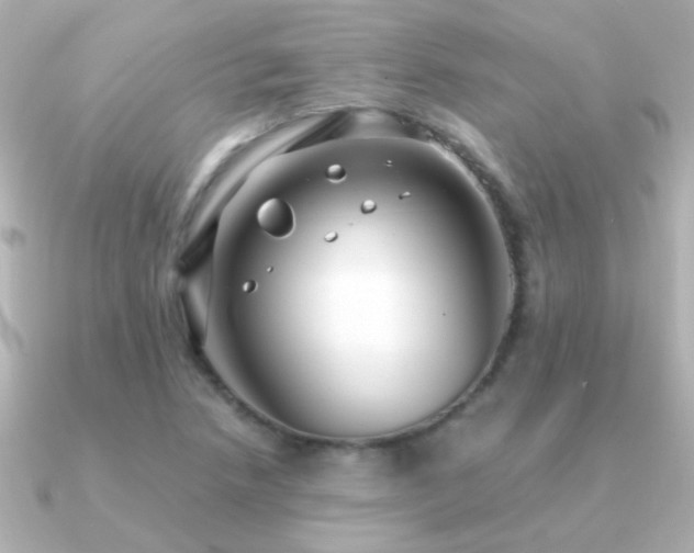 X0000091201218200708091301