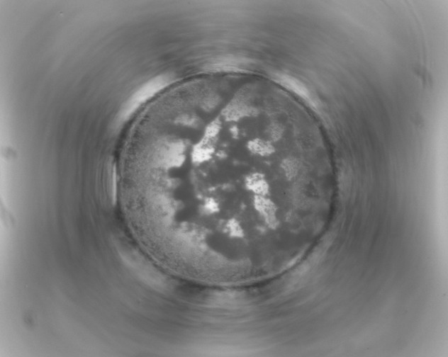 X0000091201219200708091301