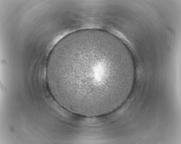 X0000091201220200708091301