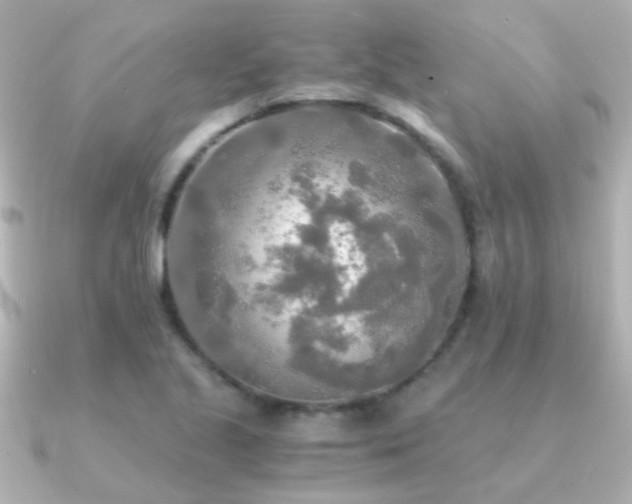 X0000091201221200708091301