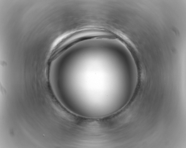 X0000091201222200708091301
