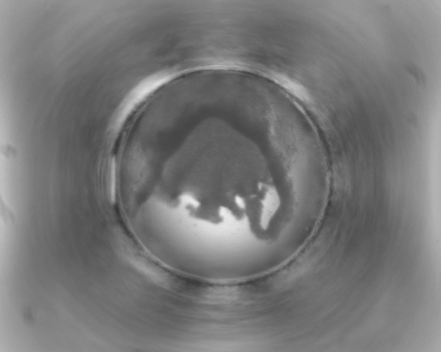 X0000091201223200708091301