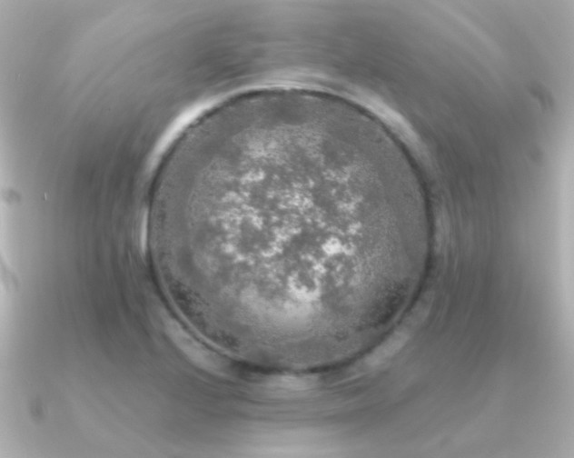 X0000091201224200708091301