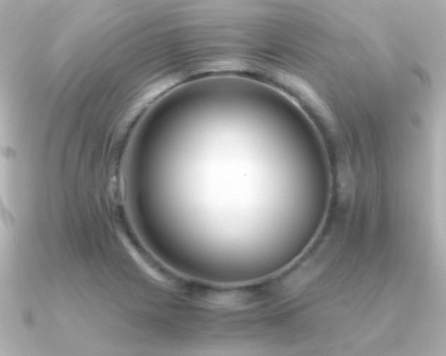 X0000091201225200708091301
