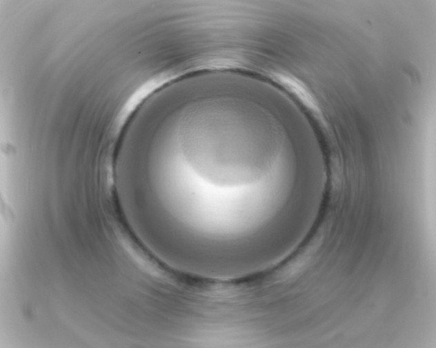 X0000091201226200708091301