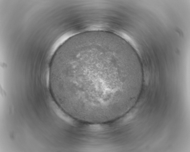 X0000091201227200708091301