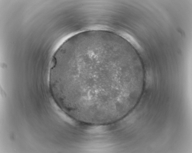 X0000091201228200708091301