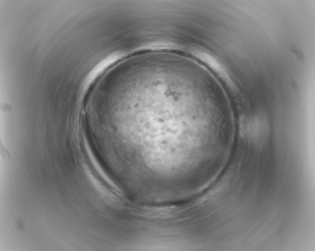 X0000091201229200708091301