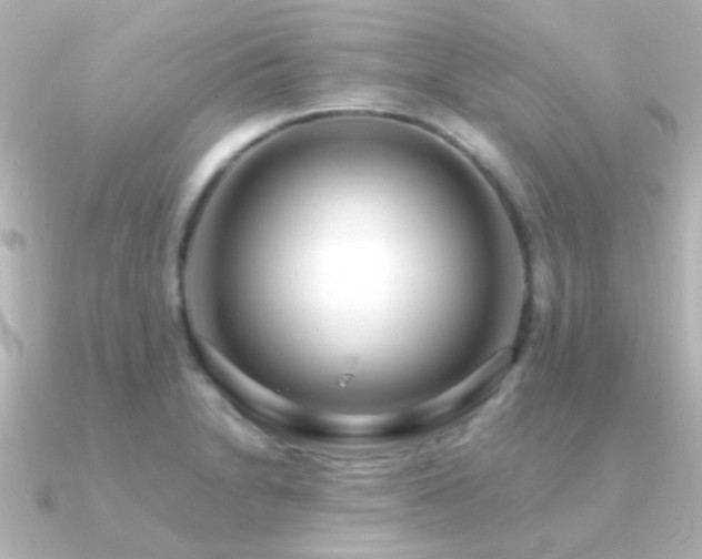 X0000091201230200708091301