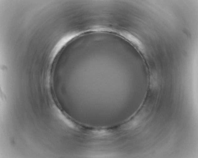 X0000091201231200708091301