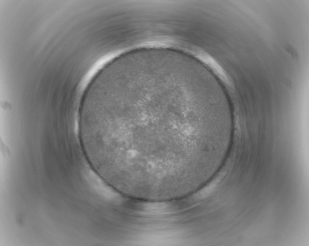 X0000091201232200708091301