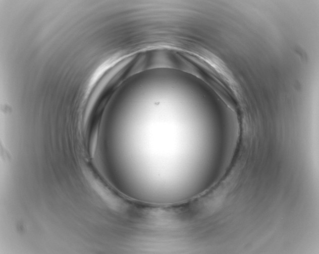 X0000091201234200708091301