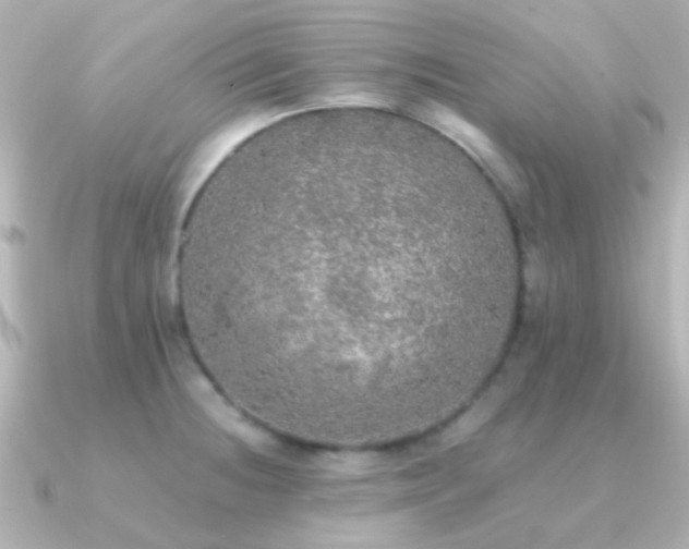 X0000091201236200708091301