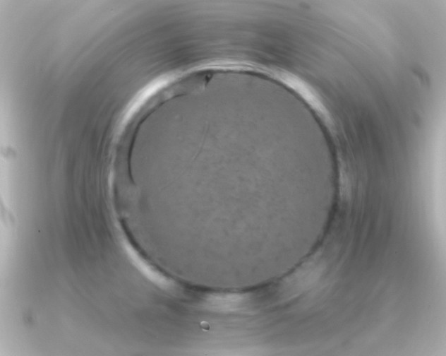 X0000091201237200708091301