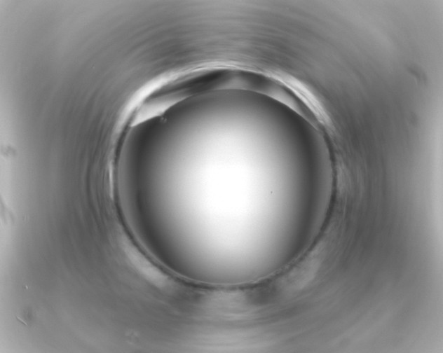 X0000091201238200708091301
