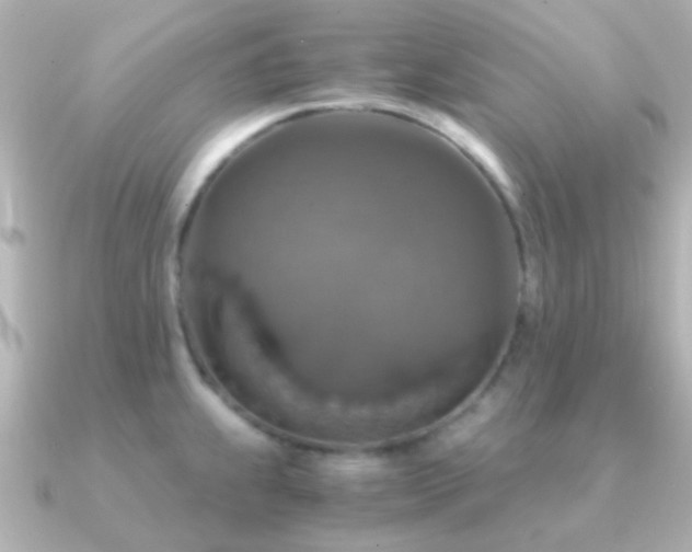 X0000091201239200708091301