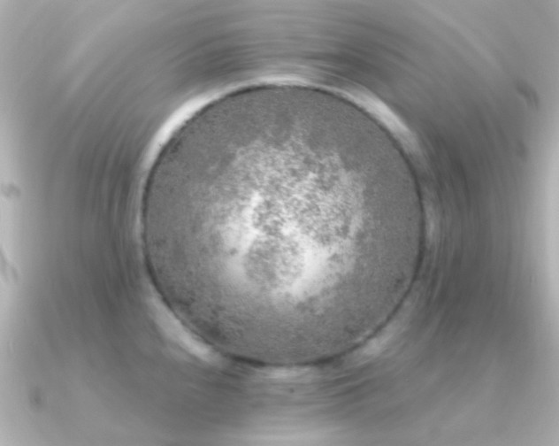 X0000091201240200708091301
