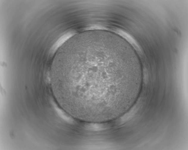 X0000091201241200708091301