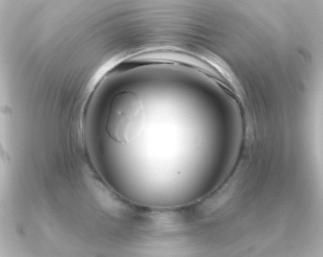 X0000091201242200708091301