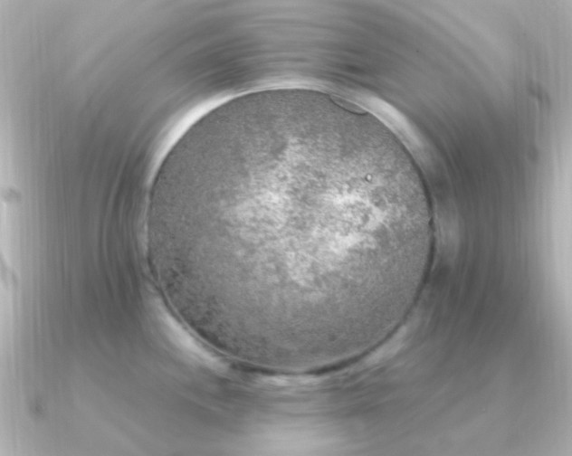 X0000091201244200708091301