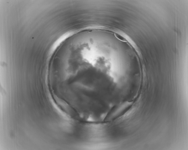 X0000091201245200708091301