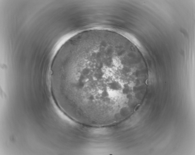 X0000091201247200708091301