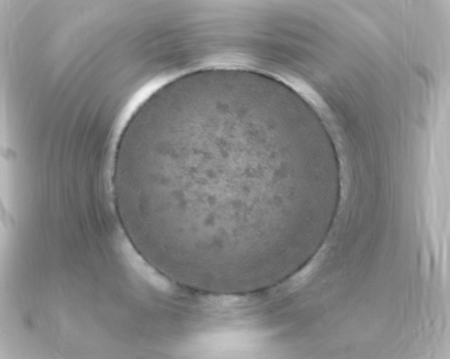 X0000091201248200708091301