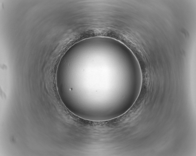 X0000091201249200708091301