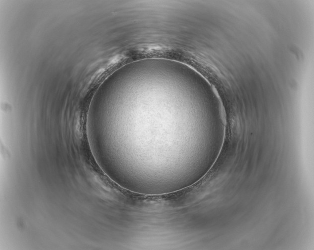 X0000091201250200708091301