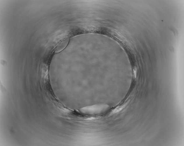 X0000091201251200708091301