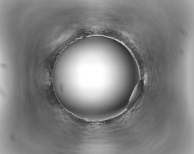 X0000091201253200708091301