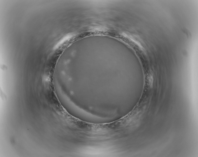 X0000091201254200708091301