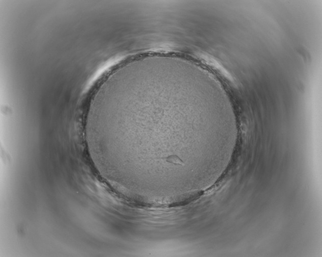 X0000091201256200708091301