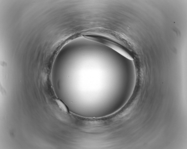 X0000091201257200708091301